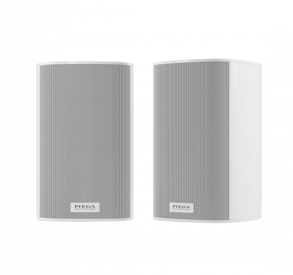 Ace 30 Rx - 2 voies, 100 Watts