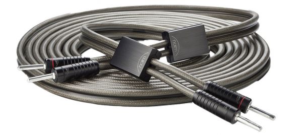 Super Lumina - Câble haut-parleur 5 mètres